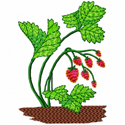 Strawberry Embroidery Design 4 Strawberry Embroidery Design 4